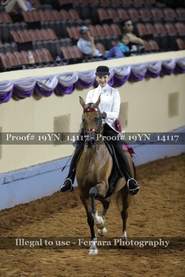 Proof 19YN_14117