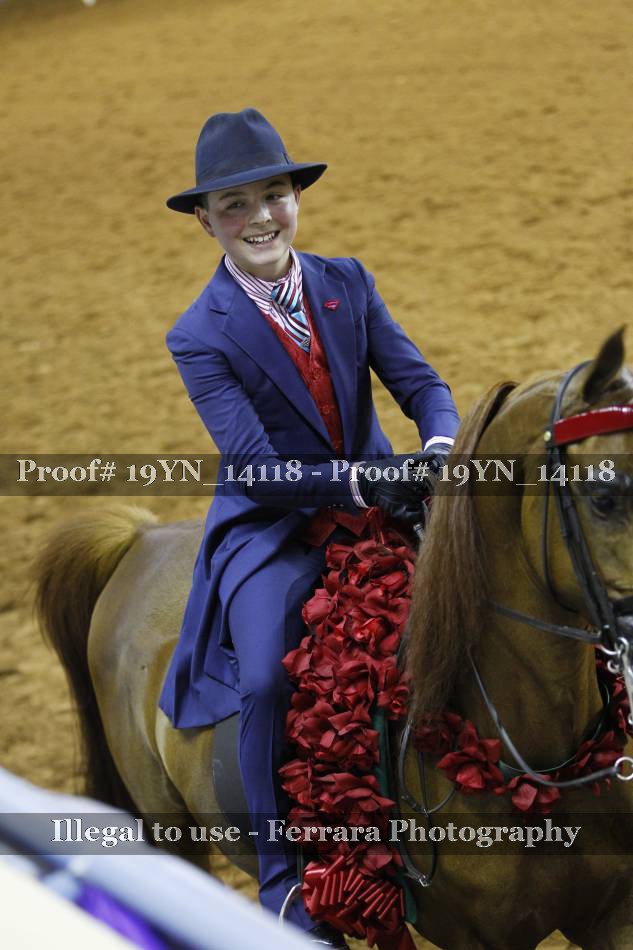 Proof 19YN_14118
