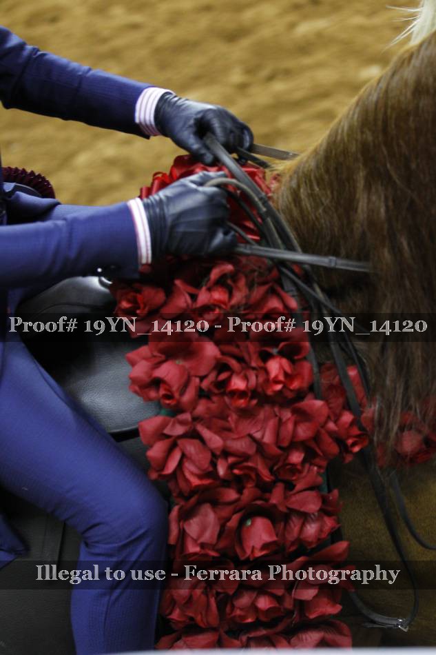 Proof 19YN_14120