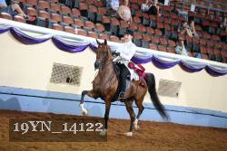 19YN_14122 proof