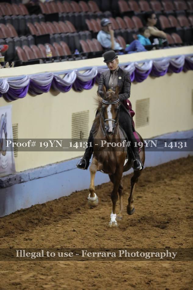 Proof 19YN_14131