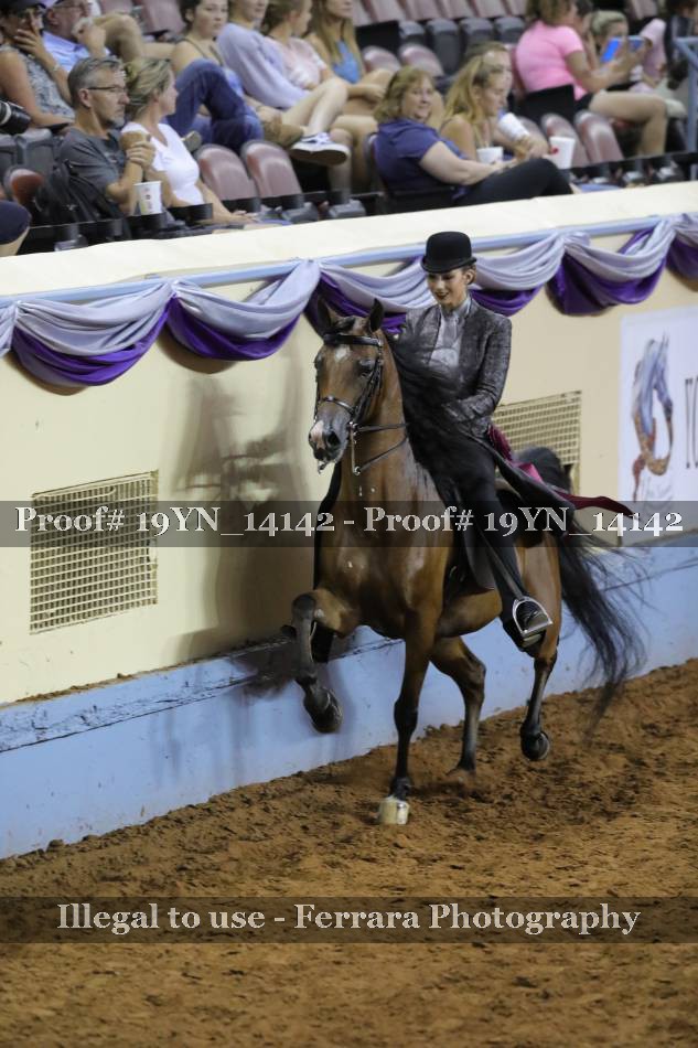 Proof 19YN_14142
