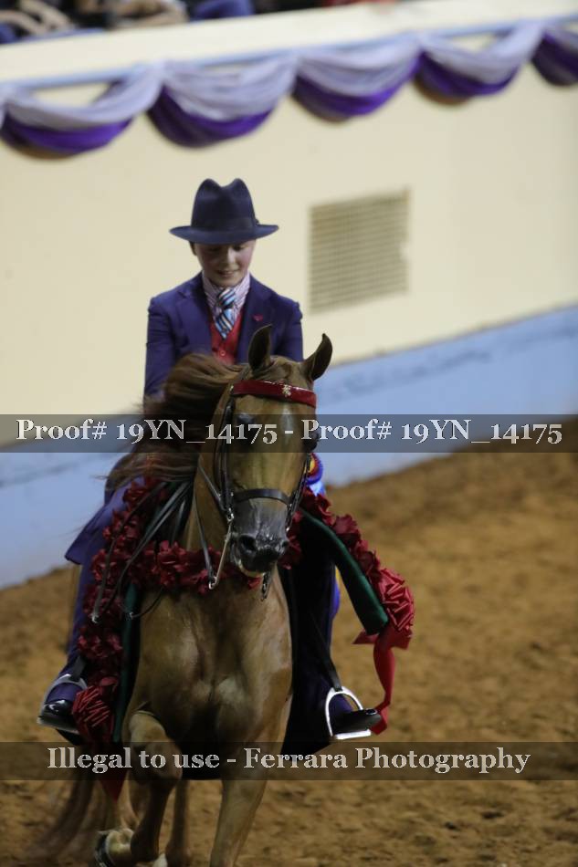 Proof 19YN_14175