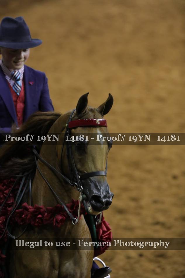 Proof 19YN_14181