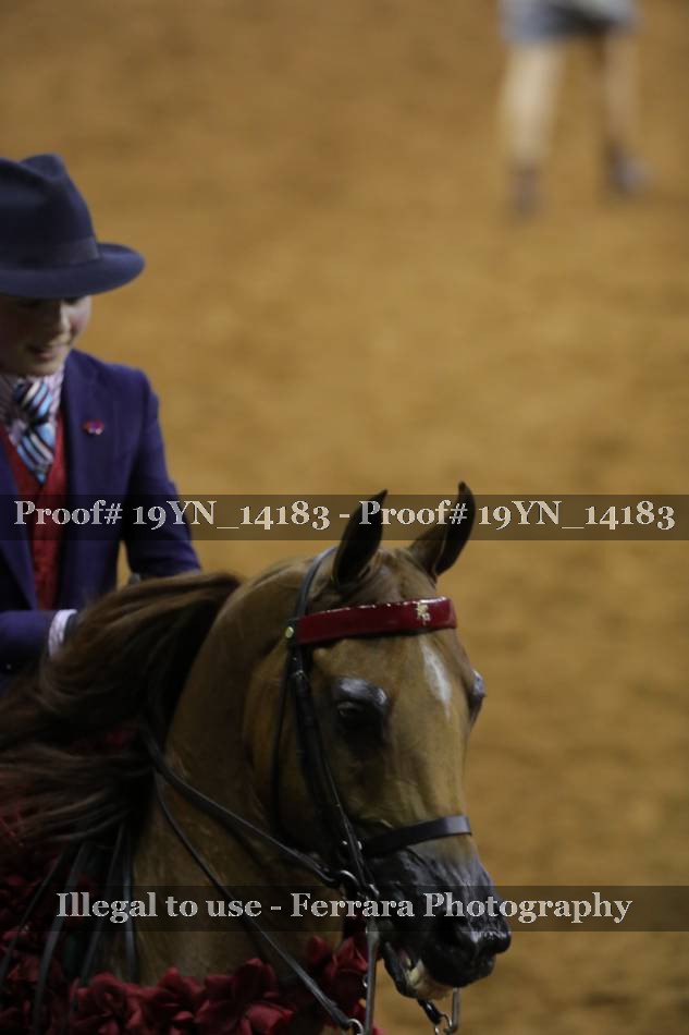 Proof 19YN_14183