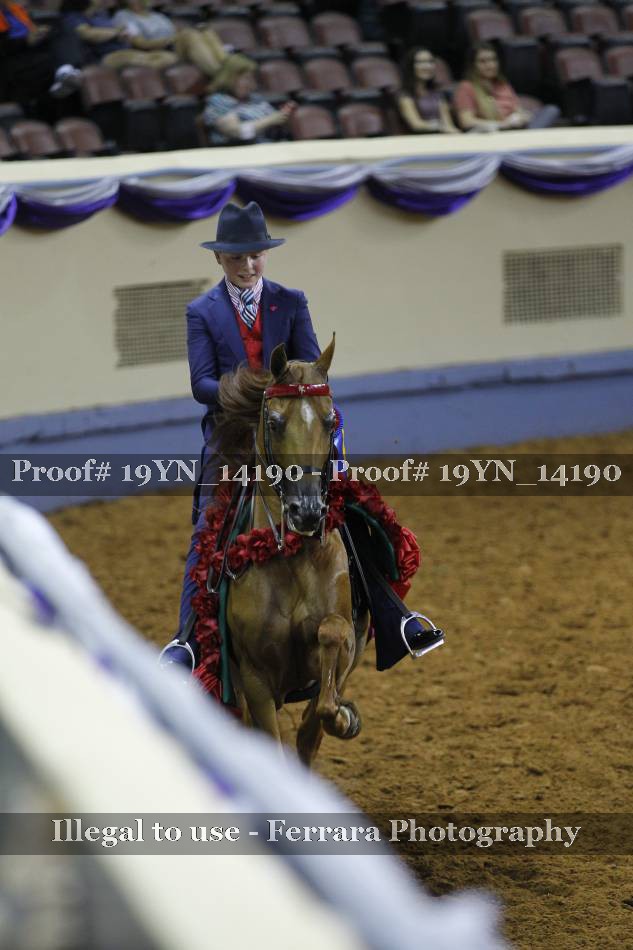 Proof 19YN_14190