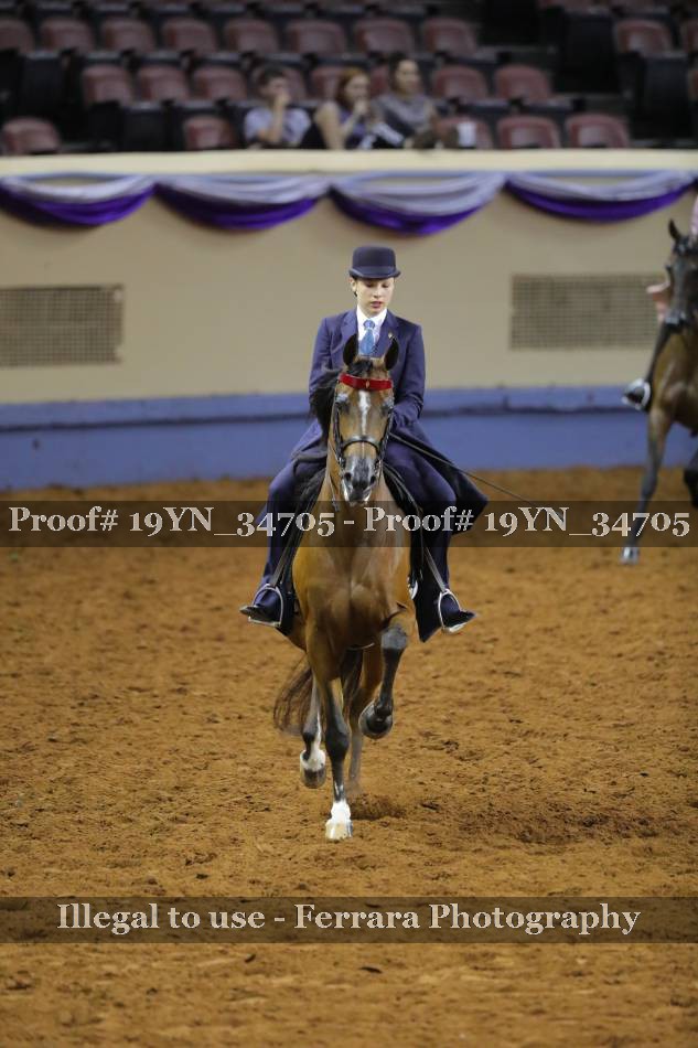 Proof 19YN_34705