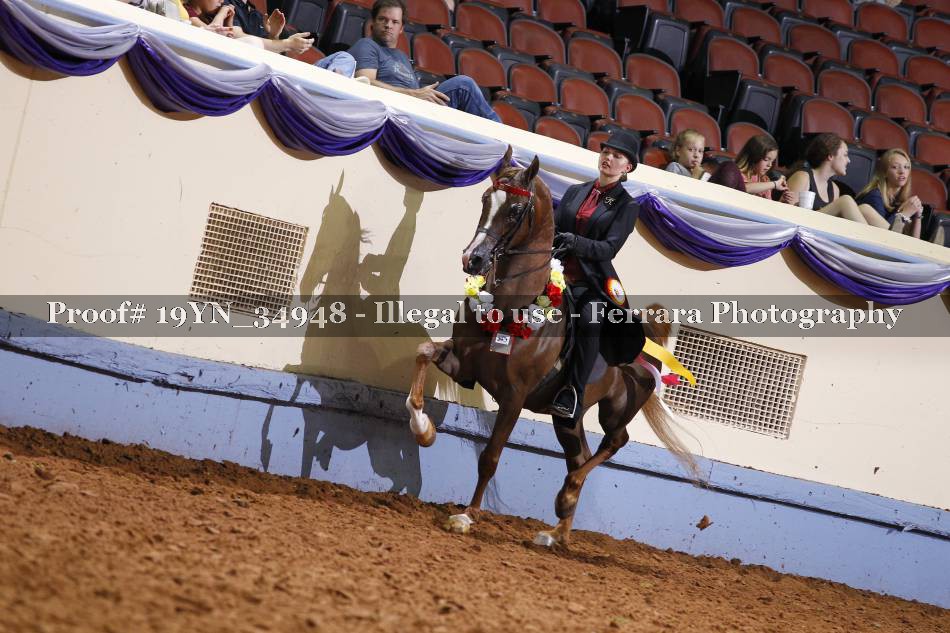 Proof 19YN_34948