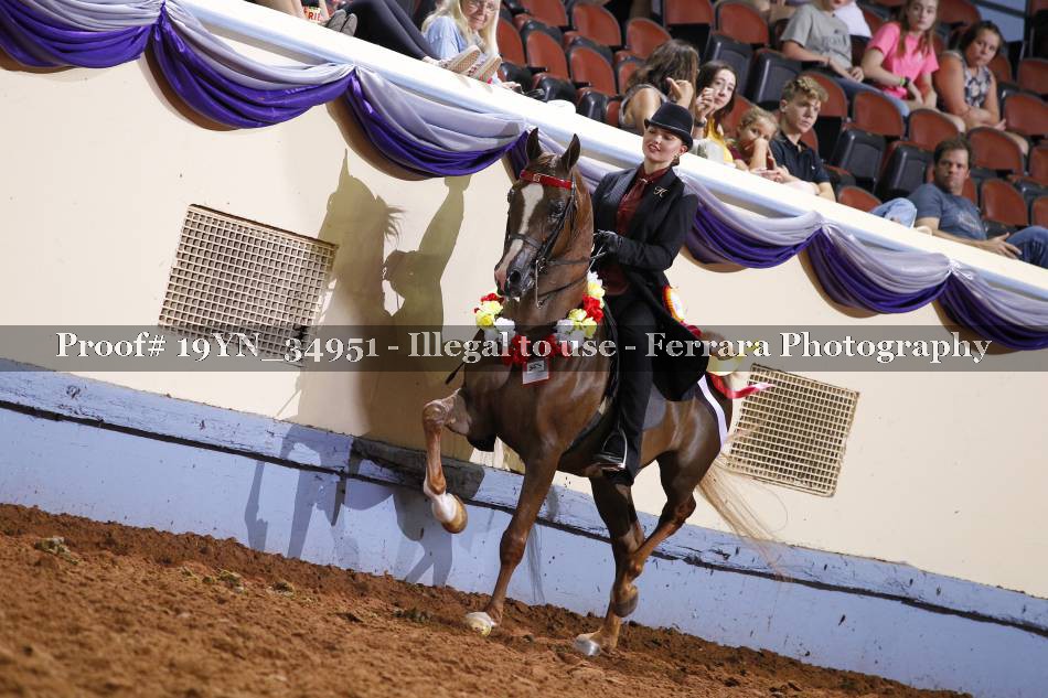 Proof 19YN_34951