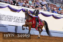 19YN_34969 proof