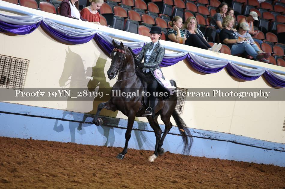 Proof 19YN_28199