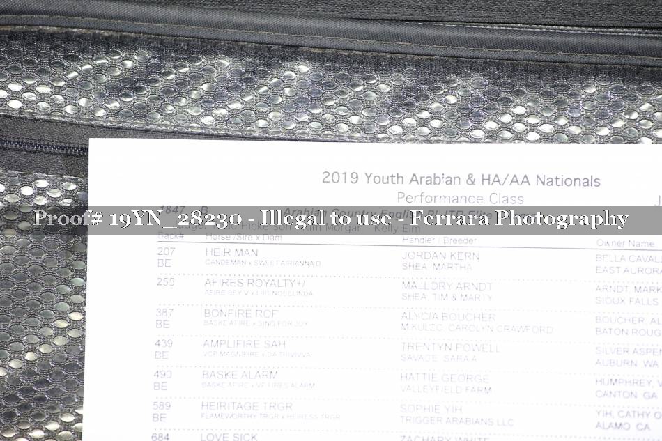 Proof 19YN_28230