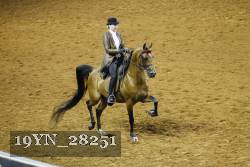 19YN_28251 proof