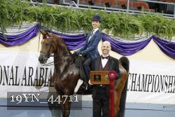 19YN_44711 proof