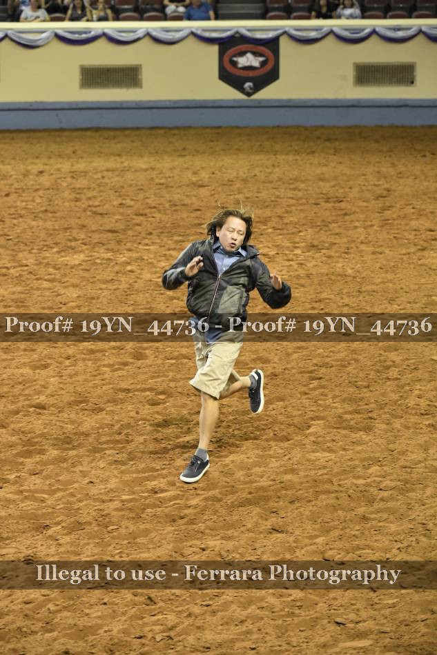 Proof 19YN_44736
