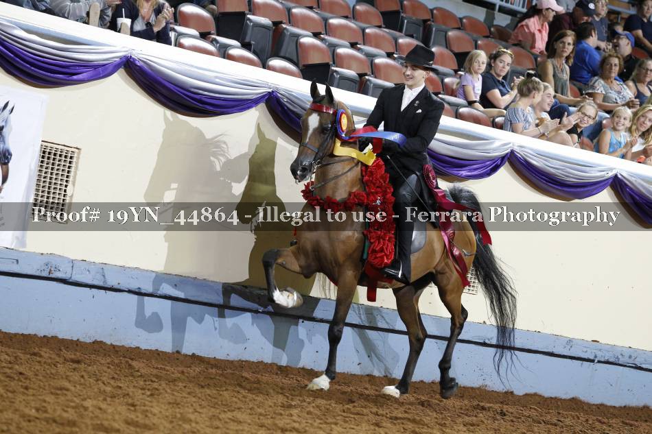 Proof 19YN_44864