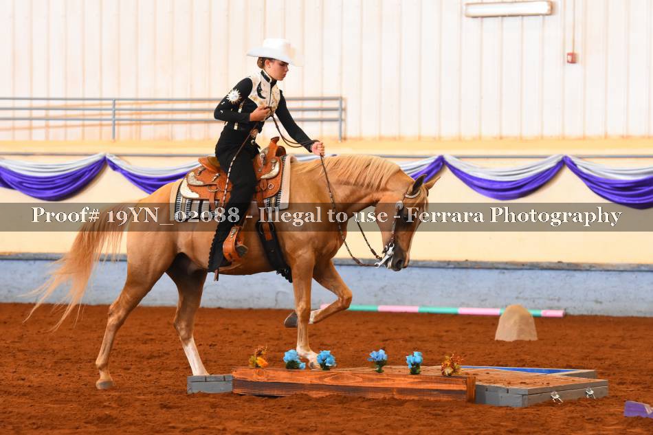 Proof 19YN_02088