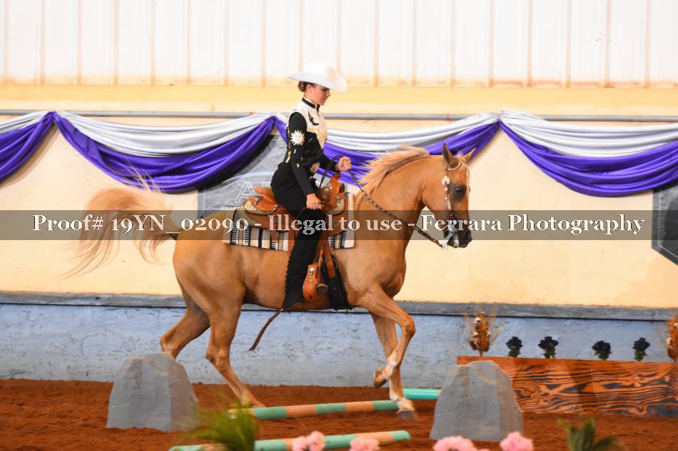 Proof 19YN_02090