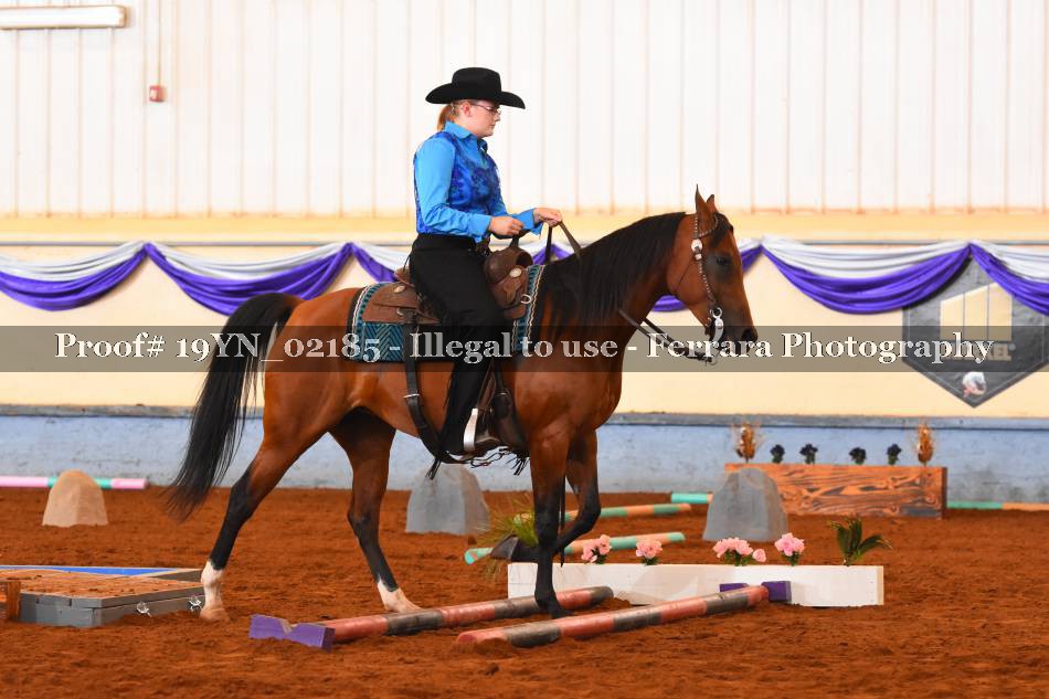 Proof 19YN_02185