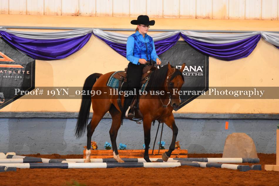 Proof 19YN_02190