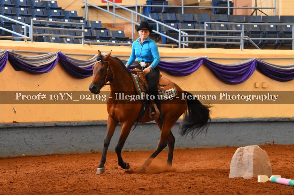 Proof 19YN_02193