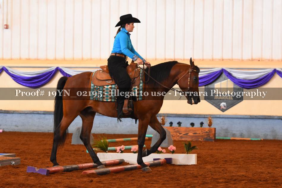 Proof 19YN_02195