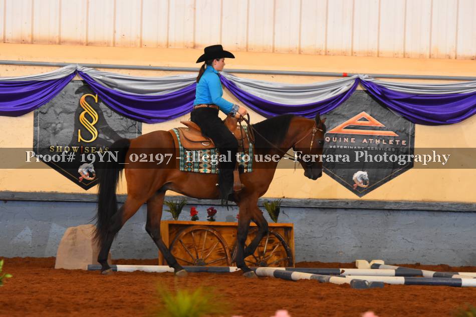 Proof 19YN_02197