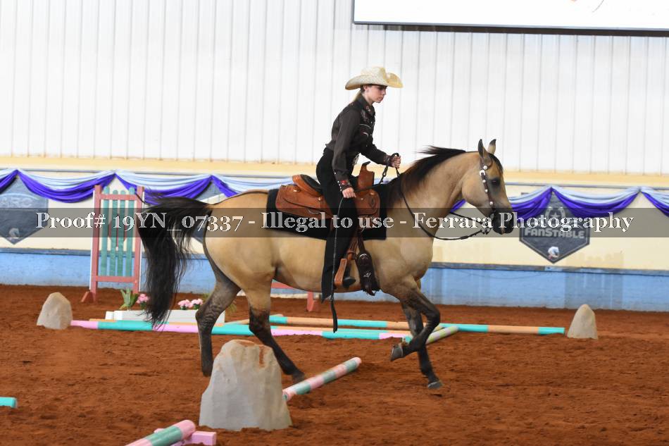 Proof 19YN_07337