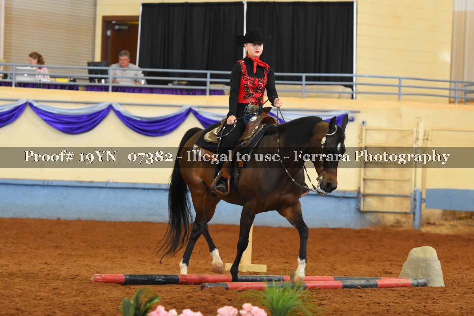 Proof 19YN_07382