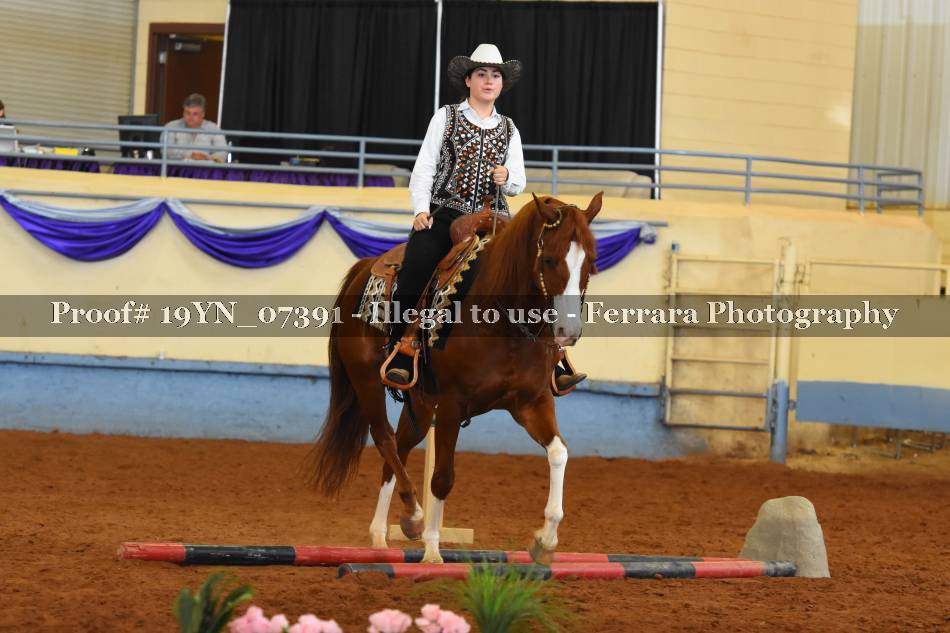 Proof 19YN_07391