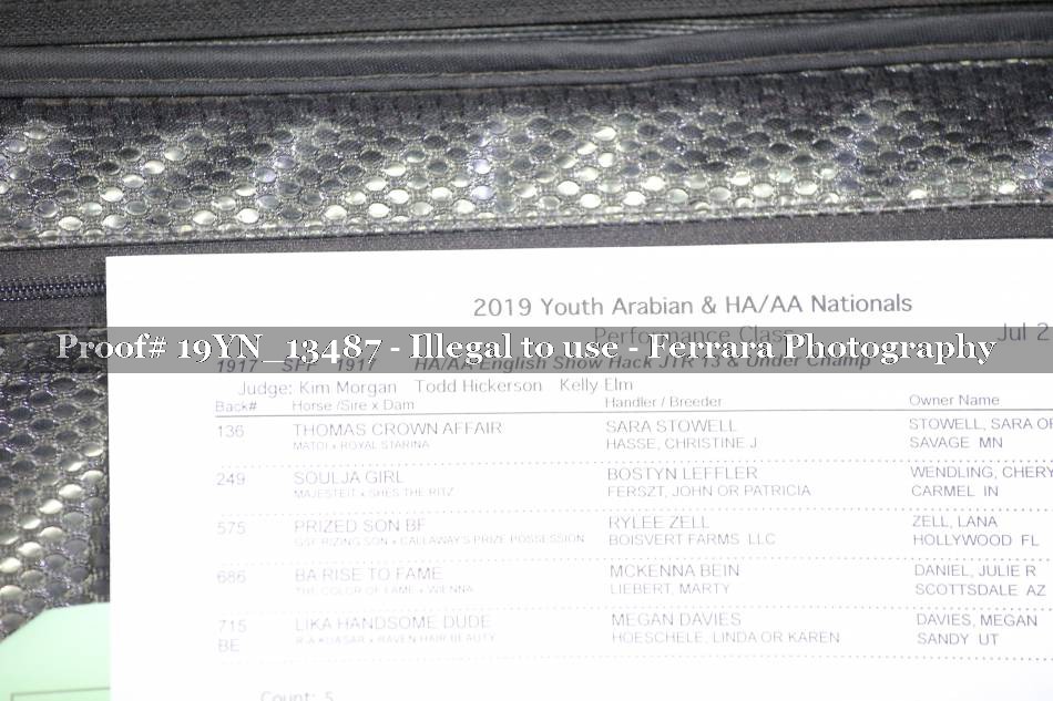Proof 19YN_13487