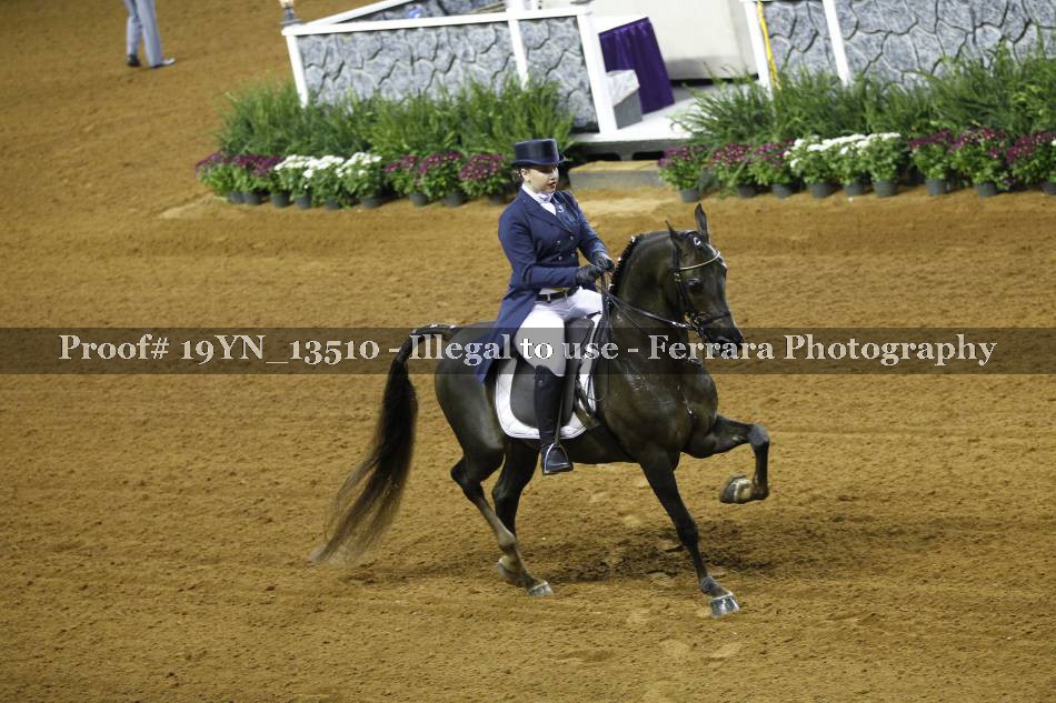 Proof 19YN_13510