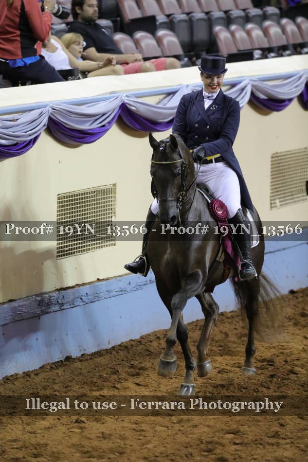 Proof 19YN_13566