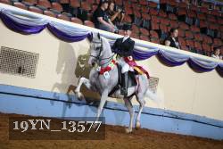 19YN_13577 proof