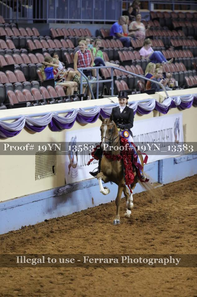 Proof 19YN_13583