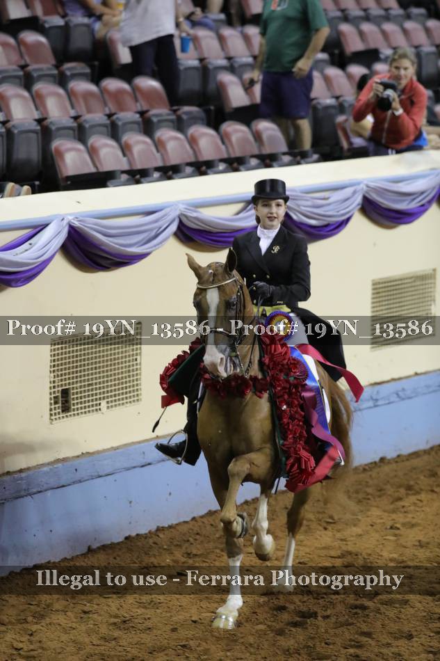 Proof 19YN_13586