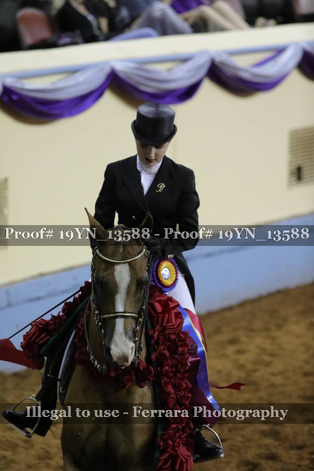 Proof 19YN_13588