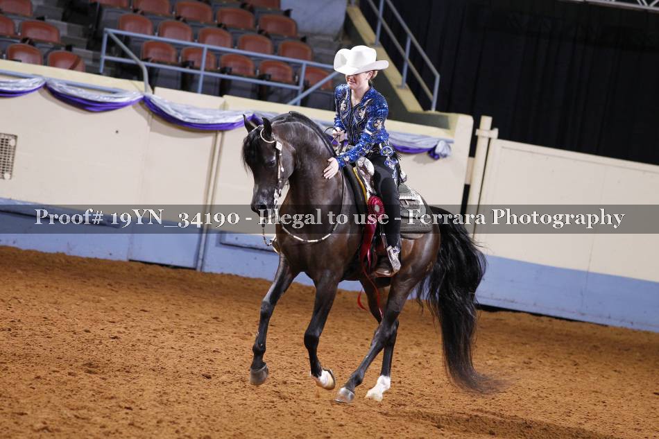 Proof 19YN_34190