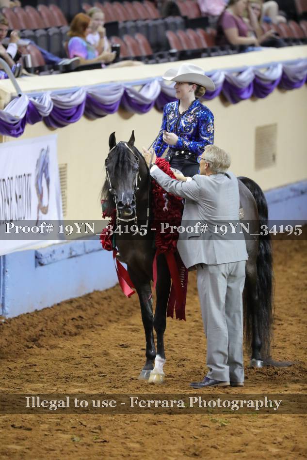 Proof 19YN_34195