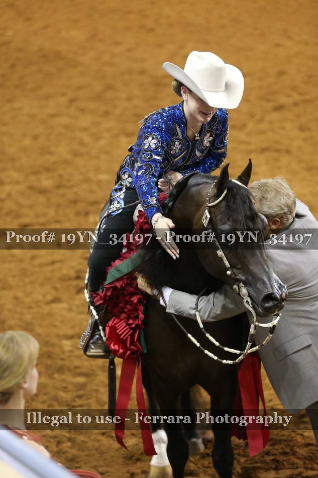 Proof 19YN_34197