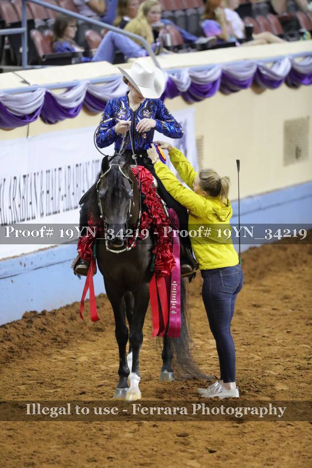 Proof 19YN_34219