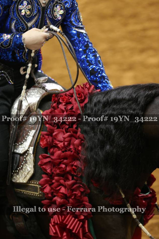 Proof 19YN_34222