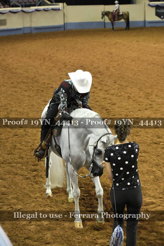 Proof 19YN_44413