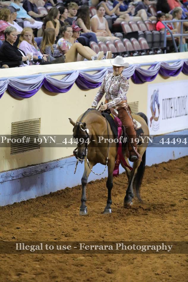 Proof 19YN_44494