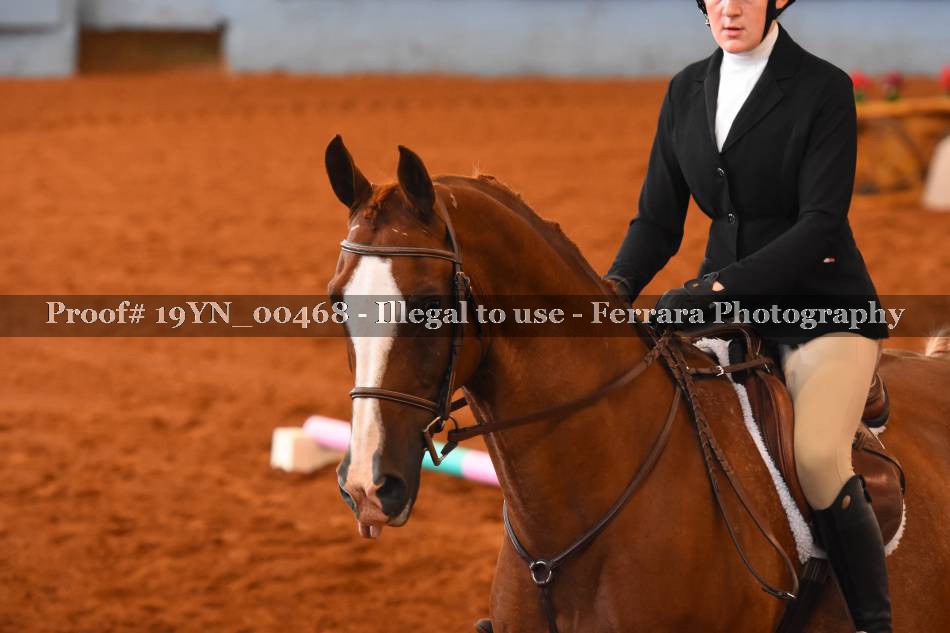 Proof 19YN_00468