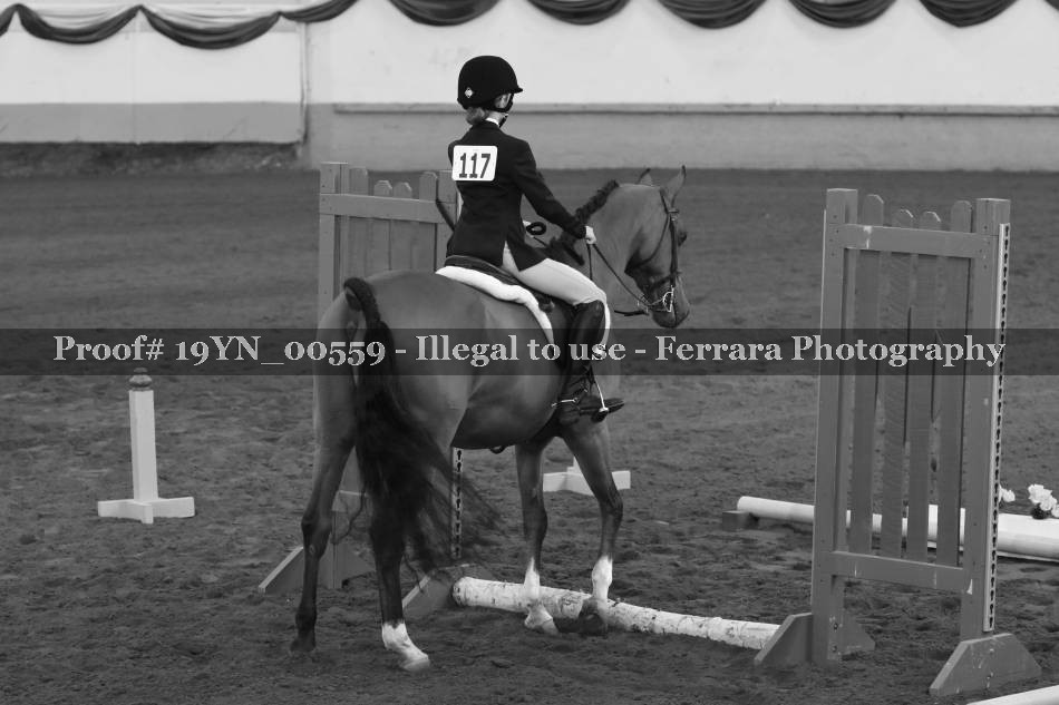 Proof 19YN_00559