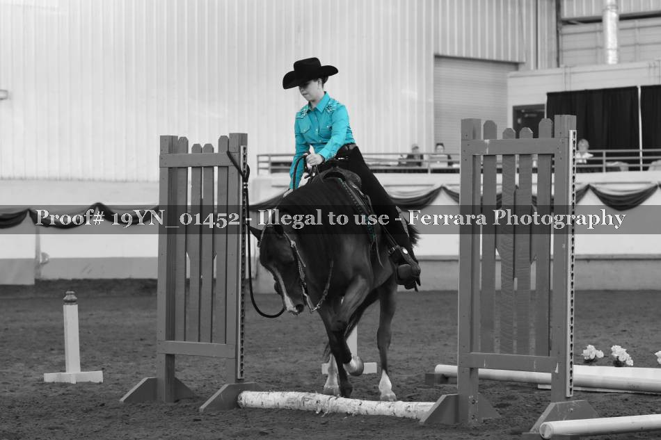 Proof 19YN_01452