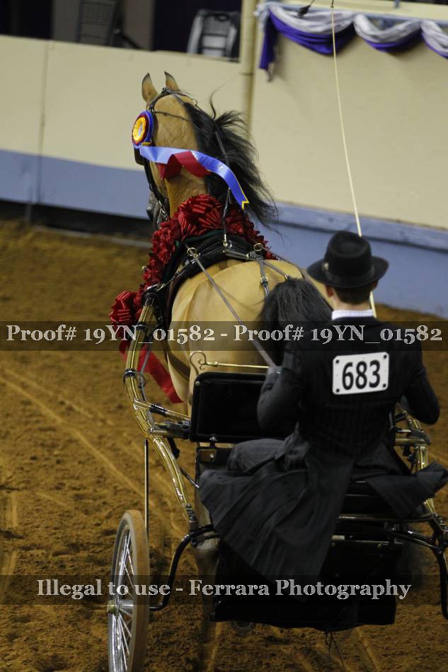 Proof 19YN_01582