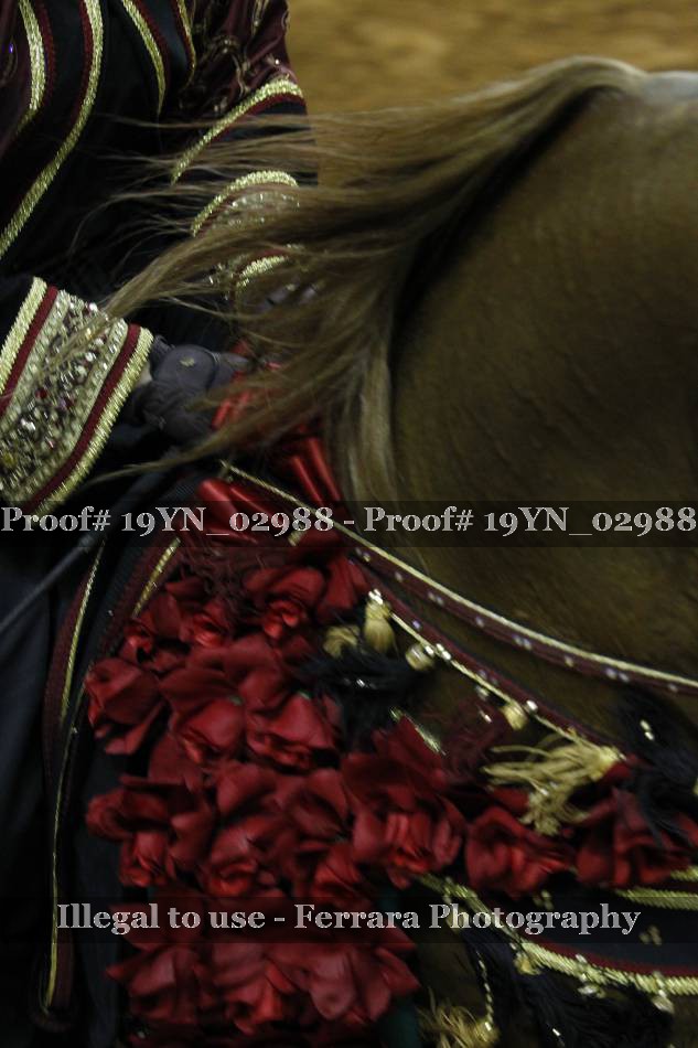 Proof 19YN_02988