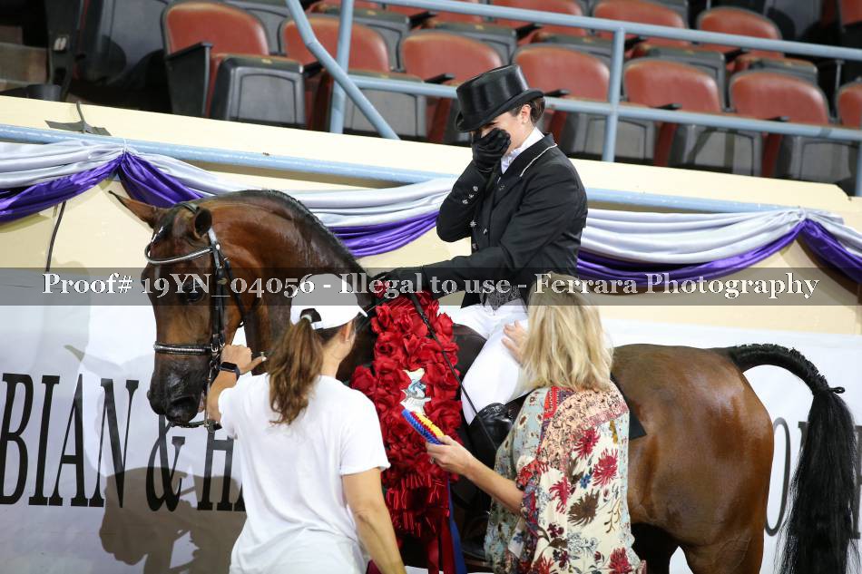 Proof 19YN_04056
